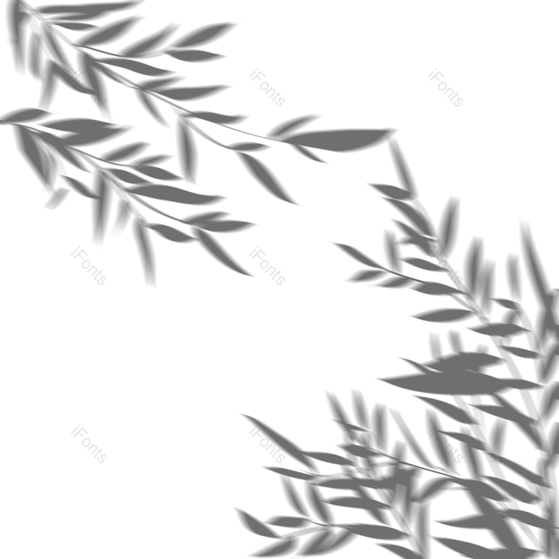 效果图片,树叶元素,春季PNG,植物免抠素材